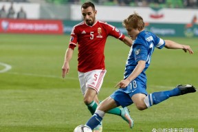 包含今晚圣安东尼奥马刺强势反弹——荷甲节点到来，悬念犹存，临场指挥获称赞的词条